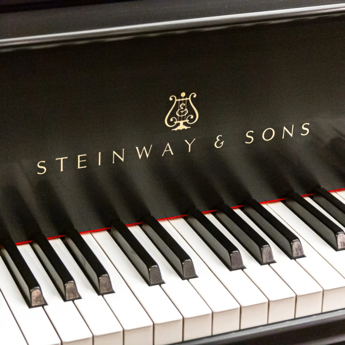Steinway & Sons Model L Grand - Image 4