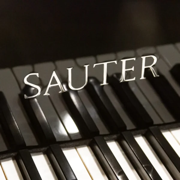 Sauter Vivace Art-Case Grand - Image 4