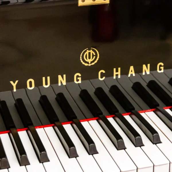 Young Chang PG-213 Semi-Concert Grand - Image 3