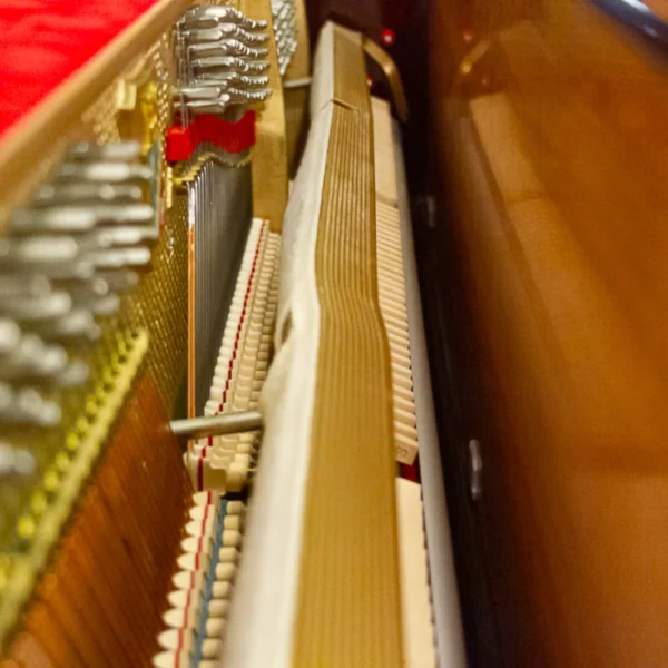 Petrof 115 Upright - Image 4