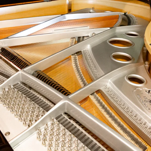 Sauter Vivace Art-Case Grand - Image 3