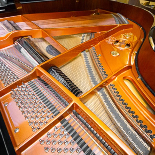 Schimmel SP-175 Grand - Image 4