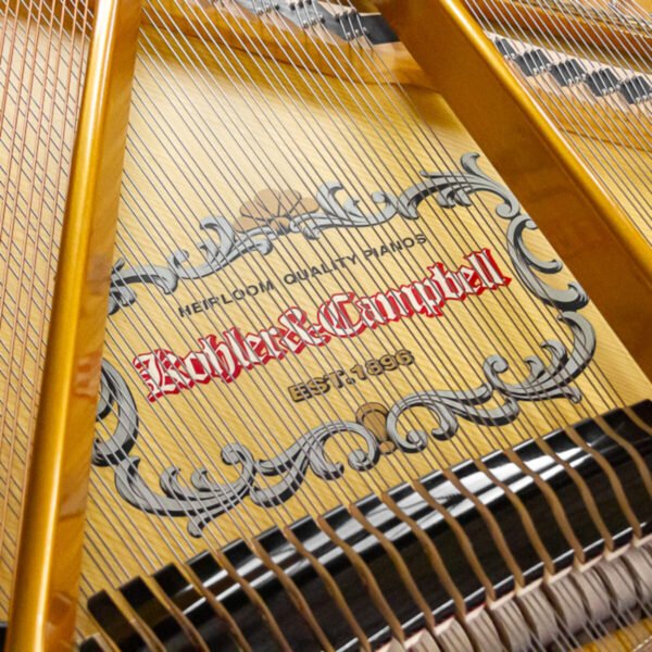 Kohler & Campbell KIG-50 Grand - Image 2