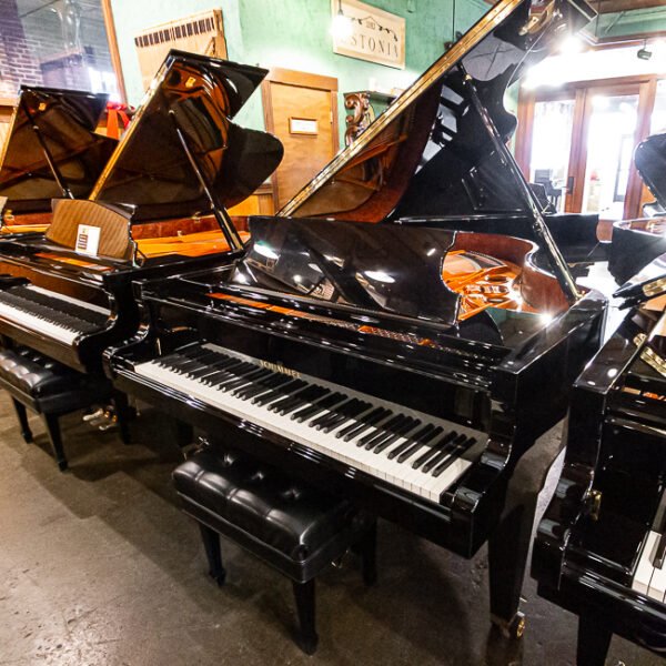 2018 Schimmel K195