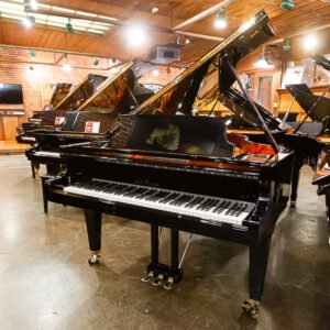 2022 Schimmel K195 Grand