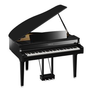 Clavinova CLP-895GP