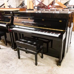 Pearl River EU-110 Upright