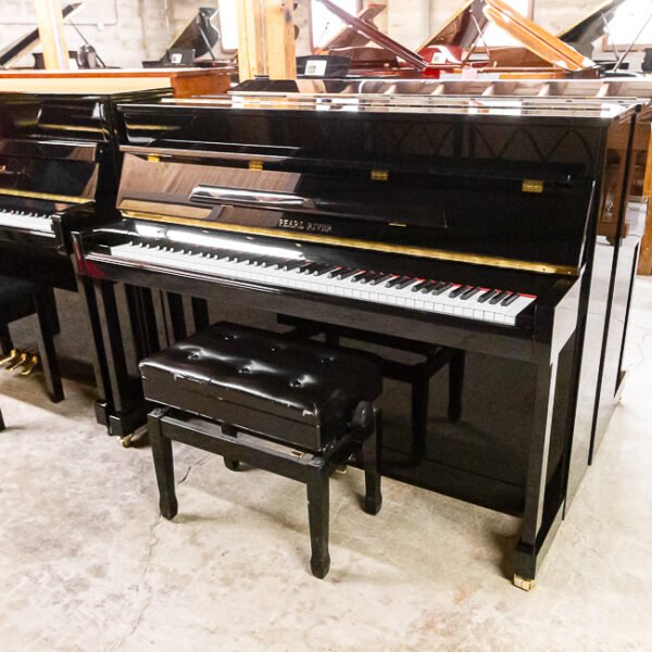 Pearl River EU-110 Upright