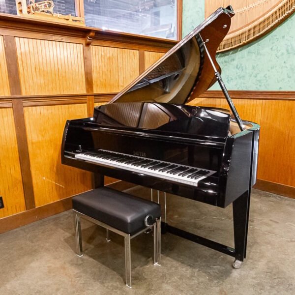 Sauter Vivace Art-Case Grand