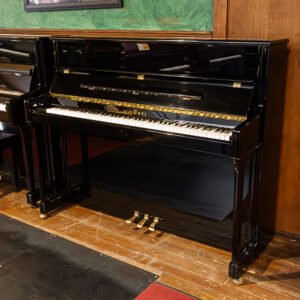 Schimmel Studio
