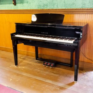 Yamaha N1 AvantGrand Hybrid