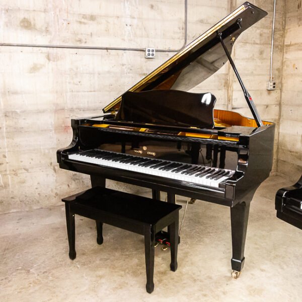 Young Chang G-150